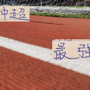 没想到！天津才是中超最强判官 中超第22轮战报 申花反超海港